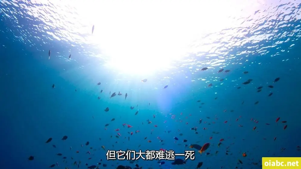 欧美国产极速在线剧照1